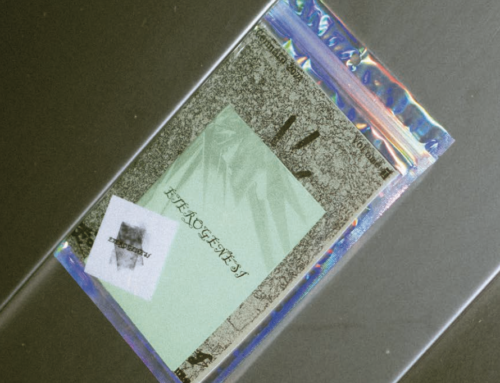 eterogenesi zine